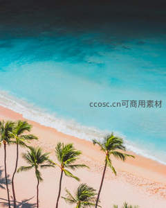 粉沙海岸线与碧海椰影，天堂般的海岛风光