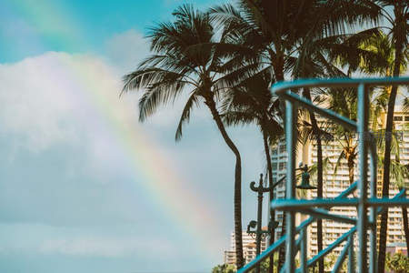 彩虹划过椰林城市，雨后天晴的浪漫瞬间