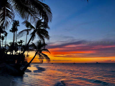 椰影夕阳映海天，热带黄昏醉人心