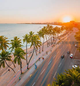 航拍椰林海岸线，夕阳洒满沙滩
