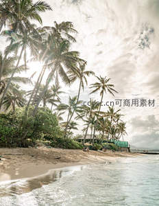 阳光穿透椰林，沙滩小屋静谧安详