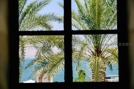窗框构图，绿意棕榈与蔚蓝大海相映成趣