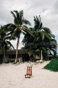 沙滩椰林下的木椅静谧时光