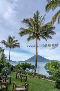 湖畔椰树与远山如画