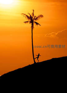 剪影少年奔向落日棕榈