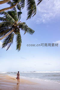 椰风海韵漫步时