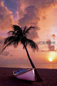 夕阳椰影下的沙滩小船静谧时光