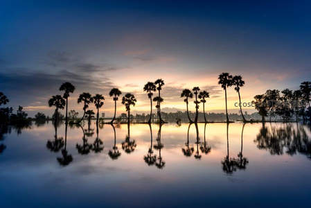 湖面倒影椰林，日落时分的对称仙境