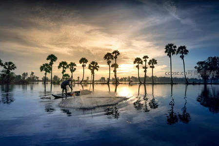 渔夫日出撒网，棕榈倒影如画