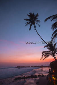 暮色海岸，椰影斜倚浪花轻吟
