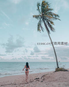 比基尼女子奔向海边椰树
