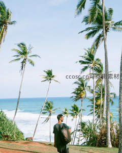 背包客眺望椰林海景的瞬间