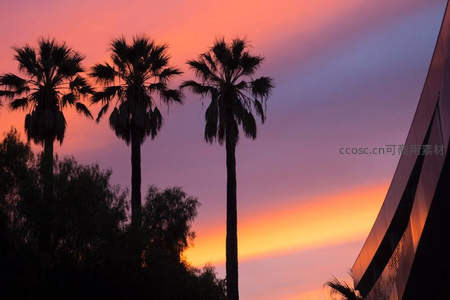 城市边缘的热带日落