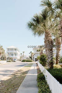 棕榈树下的海滨小镇街景