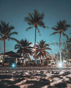星空下的沙滩棕榈树与度假灯光