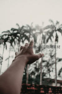 雨中伸出手掌，感受自然的温柔