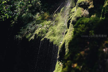水珠滴落青苔岩壁，光影交错的秘境