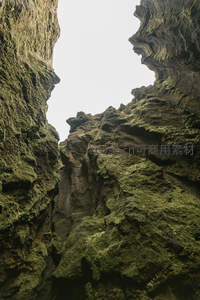 仰望裂谷，苔藓岩壁间的天空之隙