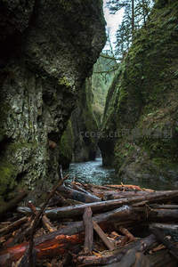 溪谷中苔藓覆盖的峡谷奇景