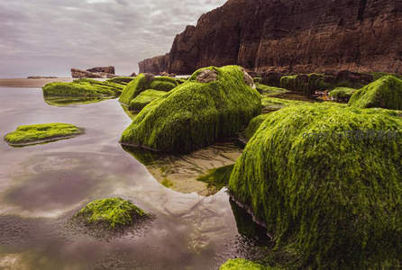 海岸巨石覆满绿藻倒影如画