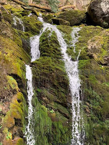 瀑布流经青苔岩，水花飞溅如珠帘