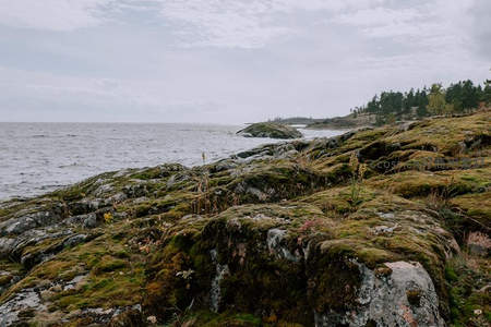 海风轻拂的苔藓覆盖海岸