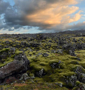 火山岩上绿苔如毯的黄昏