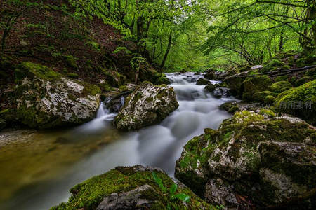 溪流穿行苔藓覆盖的岩石间