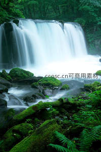 瀑布飞流直下，水雾缭绕青苔石间