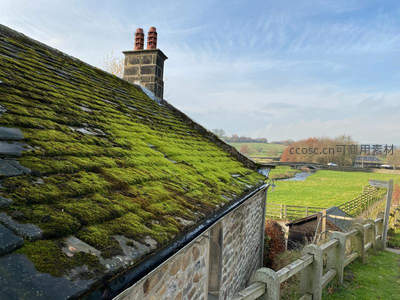 青苔满布的乡村石屋屋顶
