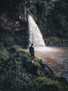 旅人驻足观瀑，丛林深处水雾弥漫