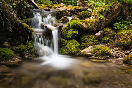 溪涧小瀑流经苔藓覆盖的岩石