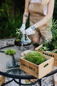 女子戴手套制作苔藓生态瓶摆件
