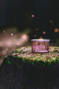 树桩苔藓烛光暖，森林秘境梦幻感