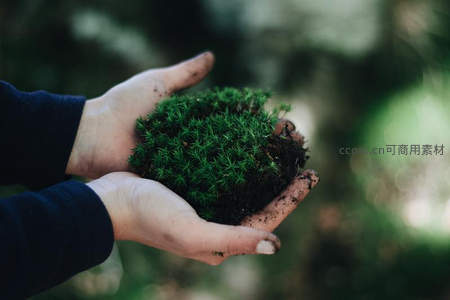 双手捧起的生命之绿