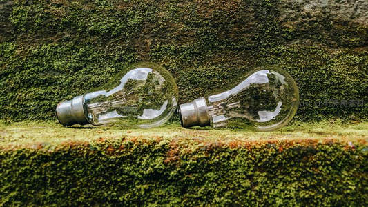 废弃灯泡静卧青苔墙，时光与自然对话