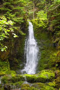 森林深处的瀑布从青苔岩壁飞流直下