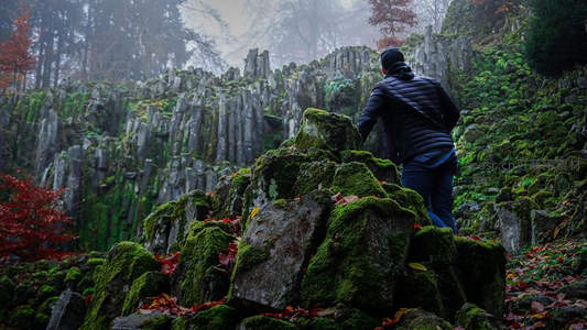 雾中石林探秘者，踏苔寻径入仙境