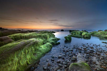 暮色海岸青苔覆石，静谧如画