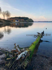 枯木横卧湖岸旁，远山如黛映夕光