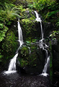山涧瀑布飞流直下，青苔石壁映衬水花