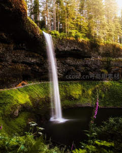 森林深处的壮丽瀑布倾泻而下
