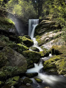 森林深处的瀑布与青苔覆盖的岩石