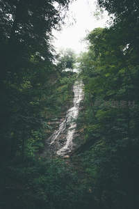 深谷飞瀑，绿荫掩映水帘垂