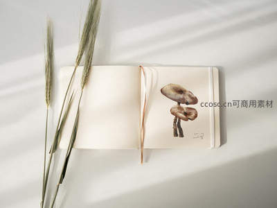 素描本上的蘑菇画作，搭配麦穗光影柔和