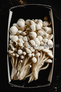 整齐排列的白色金针菇装盒展示