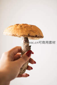 涂着红指甲油的手握着一颗大蘑菇