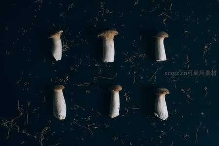 六颗整齐排列的杏鲍菇俯拍图