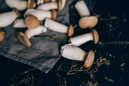 新鲜杏鲍菇堆叠布面，暗调光影突出质感