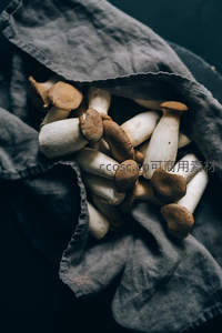 布袋盛装杏鲍菇，俯视视角展现丰盈感